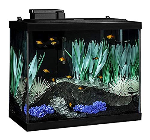 Vol ik ben verdwaald Pittig Tetra ColorFusion Aquarium 20 Gallon Fish Tank Kit, Includes LED Light –  FlockCall