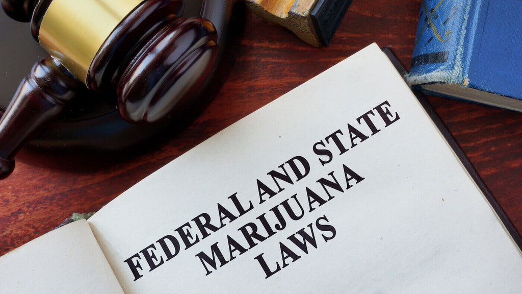 Federal and State Marijuana Laws Title on a Book and Gavel