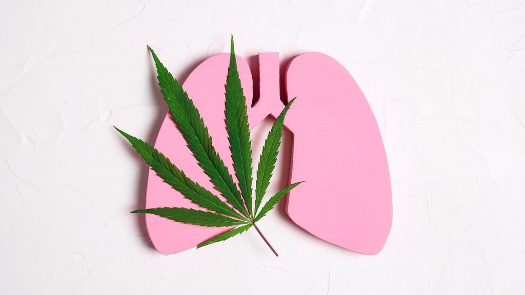 Green Marijuana Leaf and Pink Human Lungs on White Background