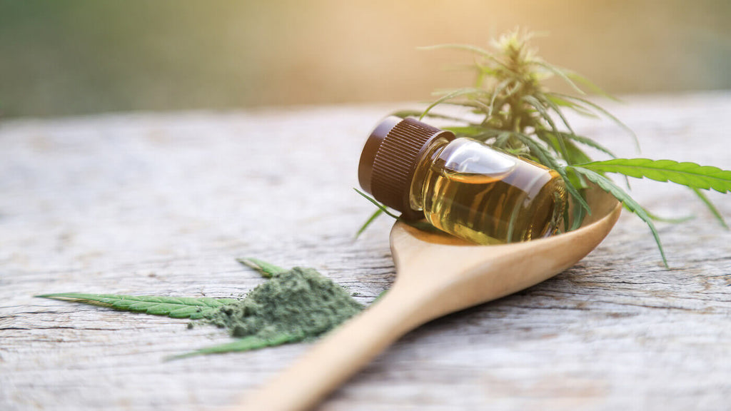 Herbal Cannabis Oil on Wooden Spoon for Healthy Using in Daily Life as an Alternative Medicine