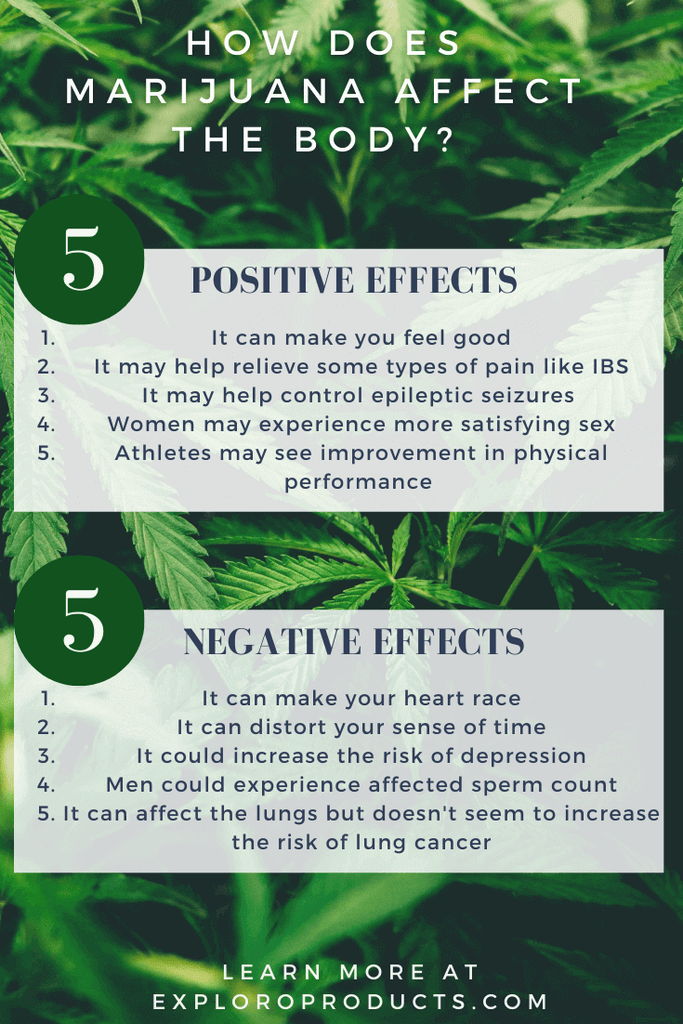 Positive and Negative Effects of Marijuana on the Body Pinterest Infographic by Exploro