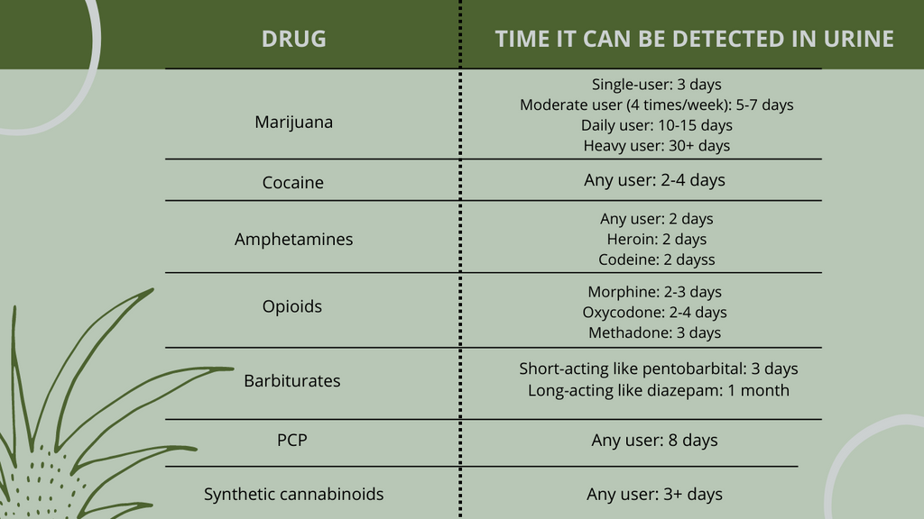 Table Showing Detection Times for Drugs Including Marijuana, Cocaine, PCP, and More Made By Exploro Products