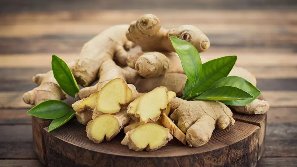 tác dụng của gừng