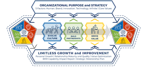 BRM capability Framework