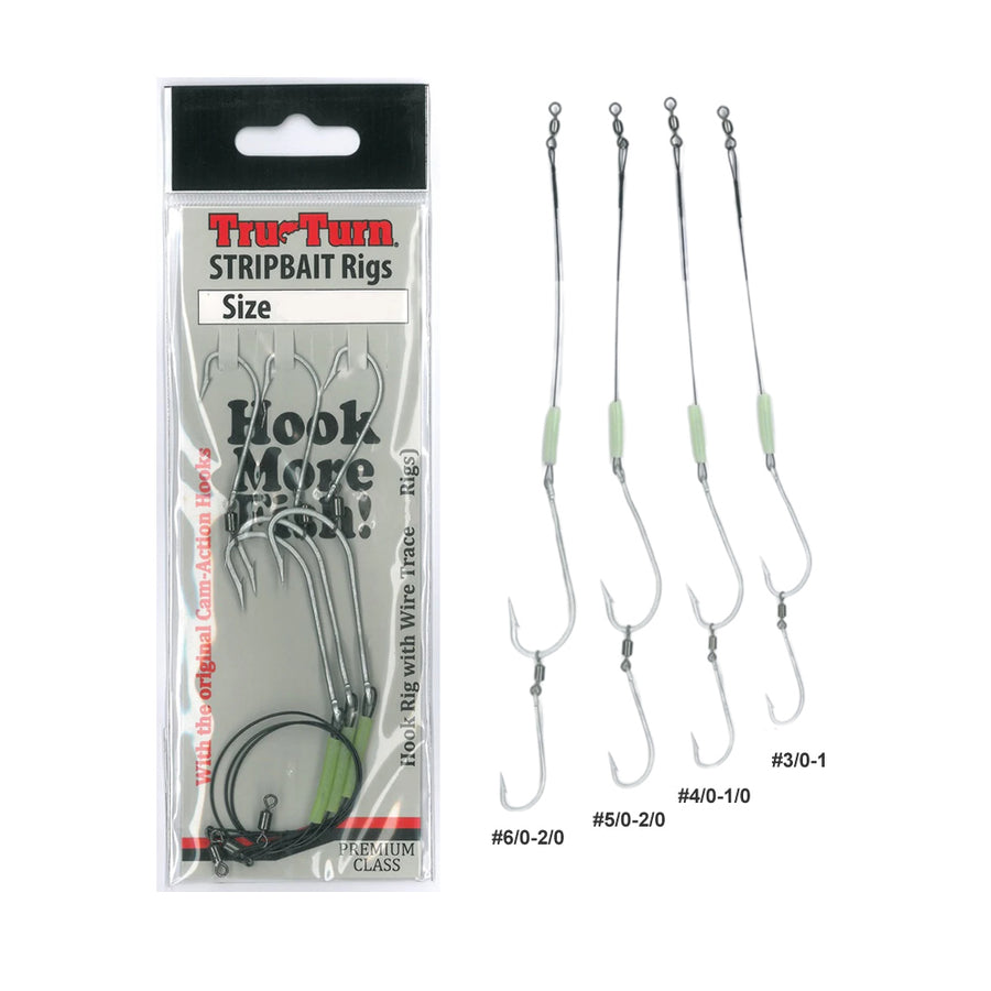 Citer Lures Gang Hooks - Unrigged (2 Pack) – Fish In & Out