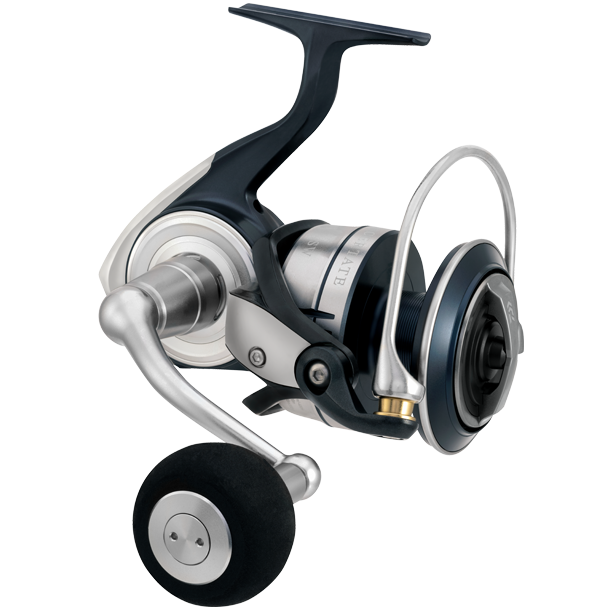 Fishing Reel Saltwater Daiwa, Daiwa Baitcast Reels, Daiwa Pr100h, Daiwa  Gear