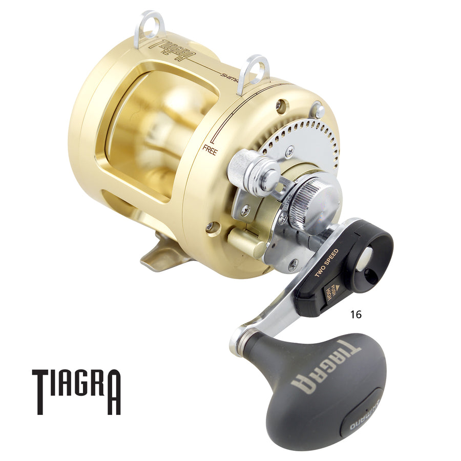 Shimano Torium A Series Overhead Reel – Anglerpower Fishing Tackle