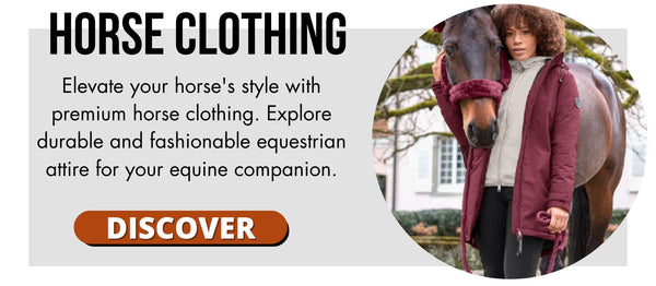 Horse Clothing