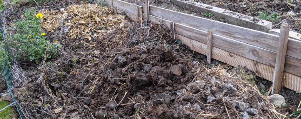 How old does horse manure need to be for garden
