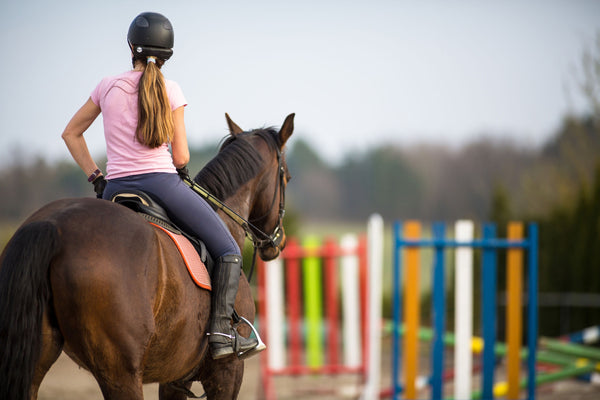 How to become an equestrian