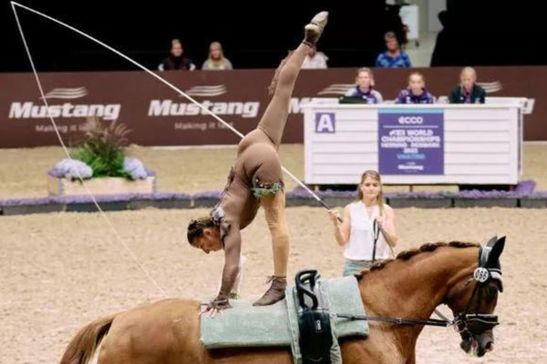 What is equestrian vaulting