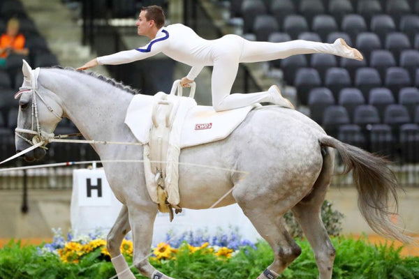 What is equestrian vaulting