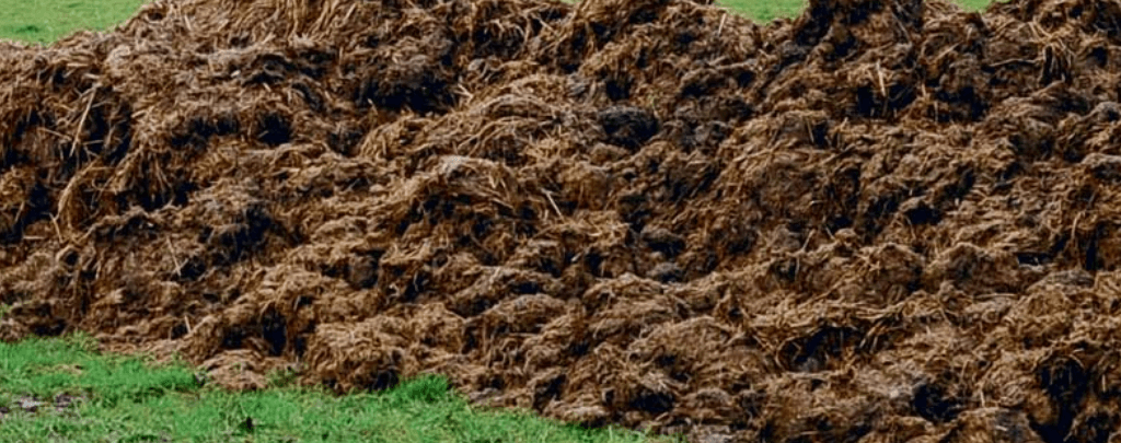 horse poop as fertilizer 