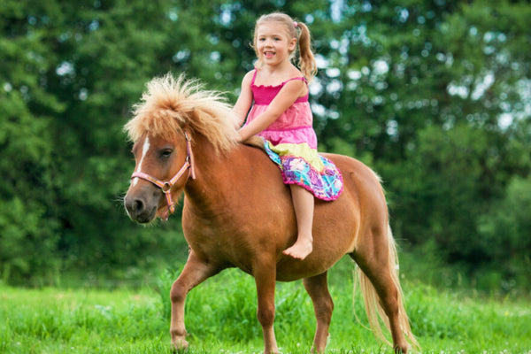 how much does a miniature horse weigh