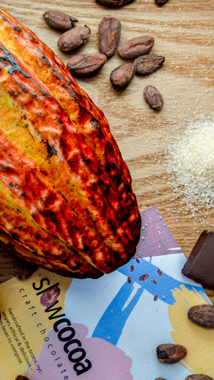 slowcocoa single-origin cacao beans with a fresh Ecuadorian cacao pod, organic cane sugar and milk chocolate pieces