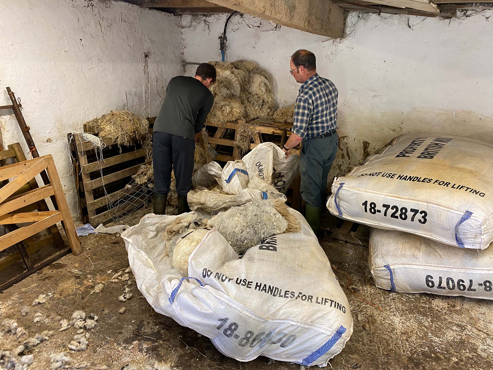 Packing wool into sheets