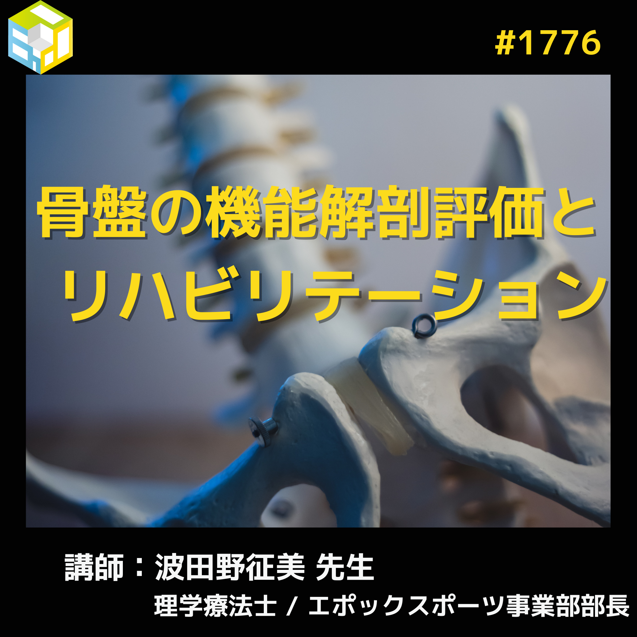 手技療法セミナー 機能解剖に基づく手技療法 腰椎と腰痛1～5 - DVD 