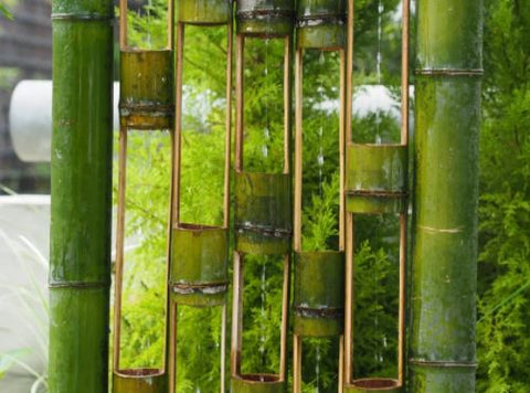 bamboo tree for a better environment