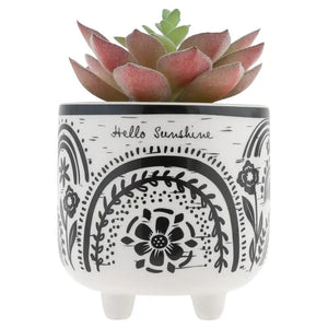 Boho Footed Pot - The Druzy Rose