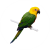 caique