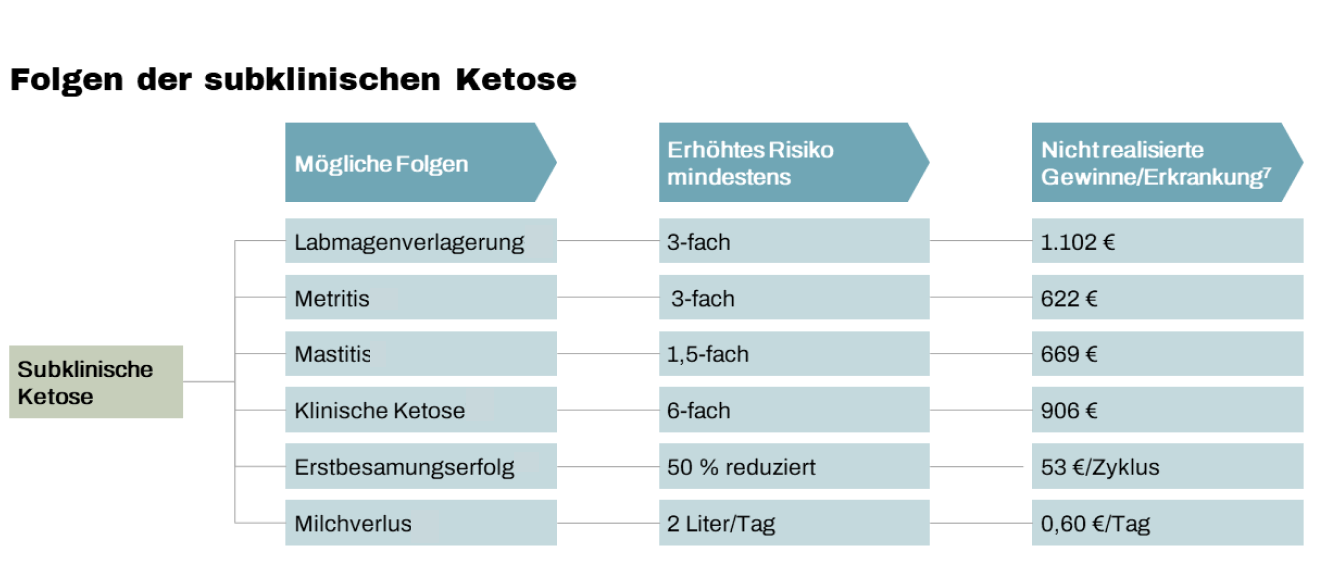 Folgen der subklinischen Ketose bei der Kuh