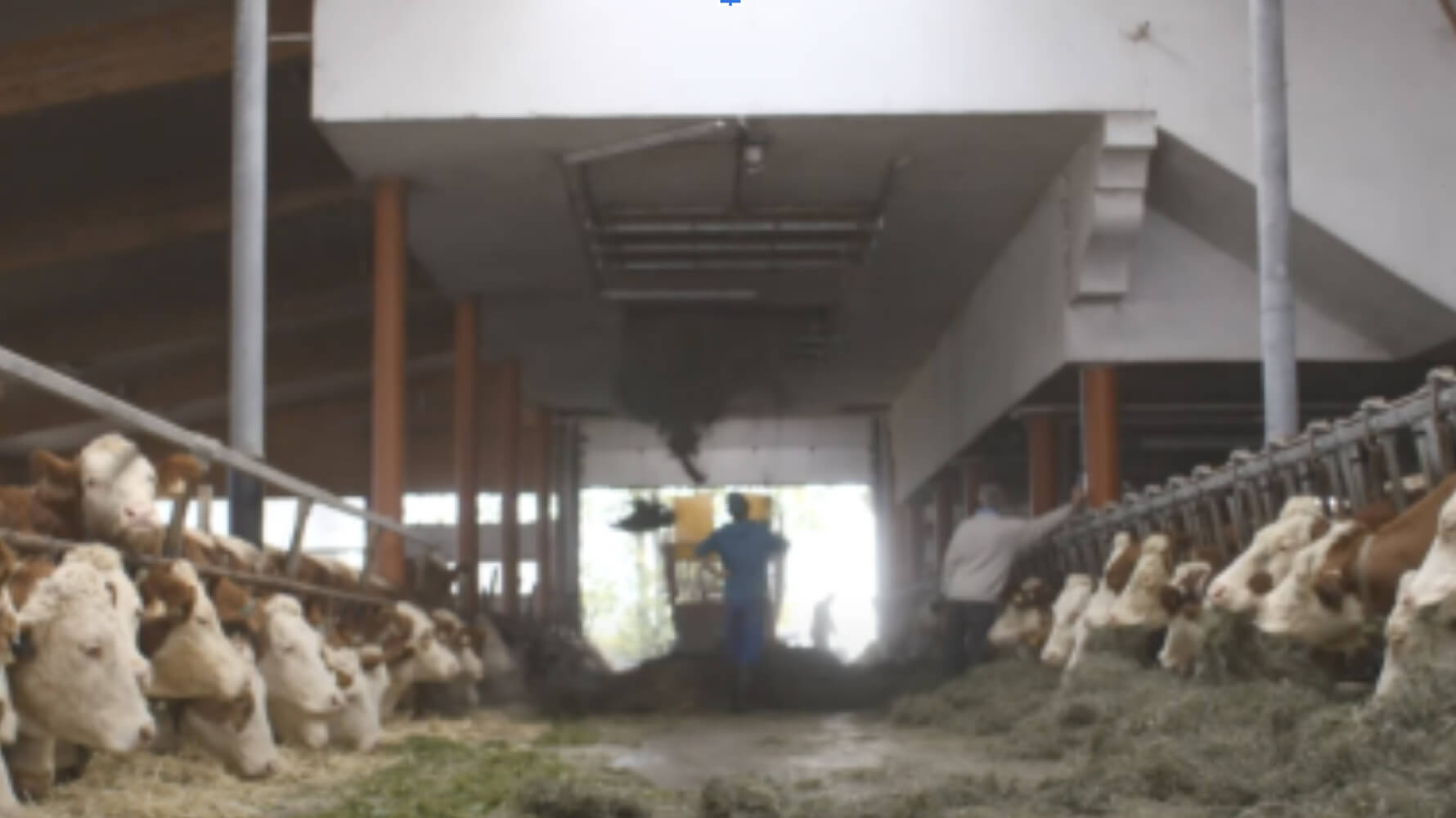 Josef-Misslinger-Landwirt-mit-Milchviehbetrieb-reinigt-Stall-PecuVital