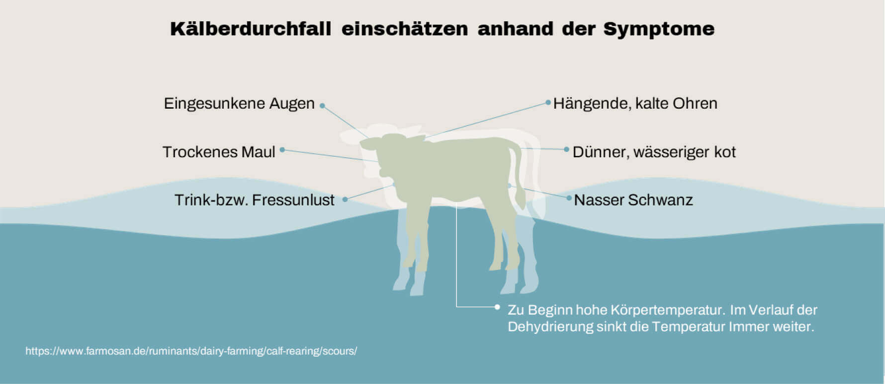 Symptome von Kälberdurchfall