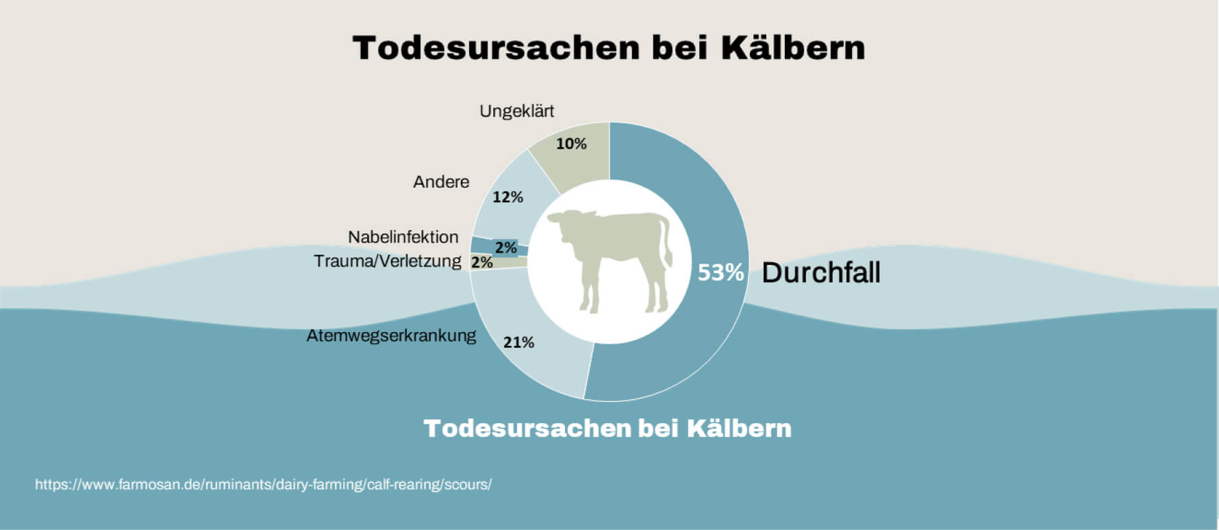 Todesursachen bei Kälbern