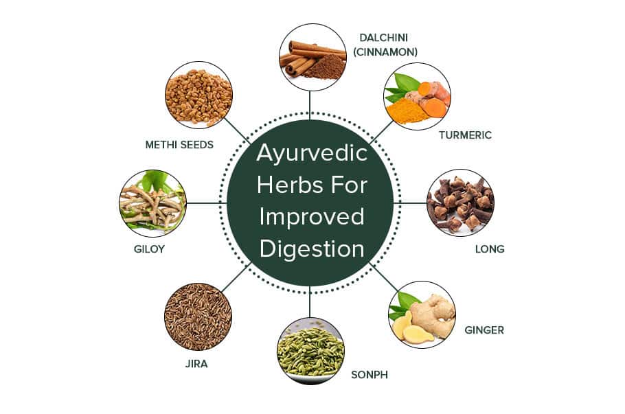 Ayurvedic Herbs for Improved Digestion