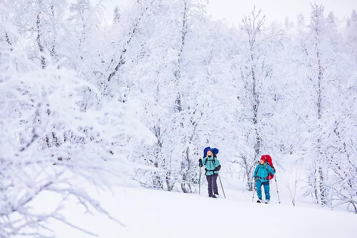 Sliding snowshoeing with Skinbased™ skis