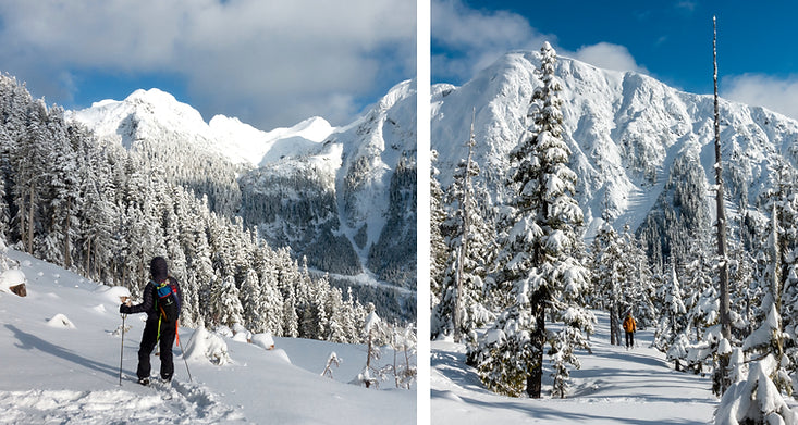 Discovering Strathcona Park