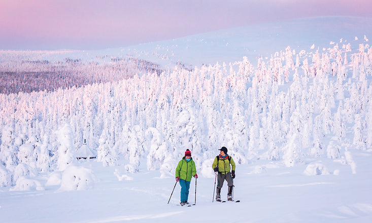 Skishoeing is the easiest way to get started.