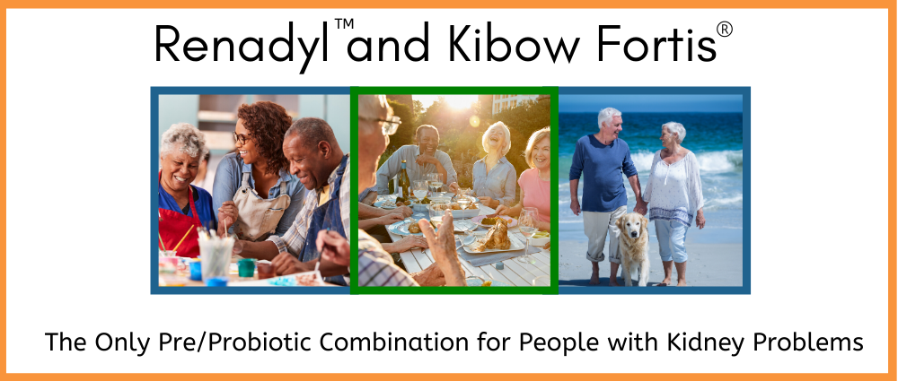 Renadyl and Kibow Fortis -  Synbiotic Combination