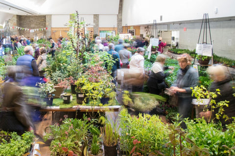 A slightly blurry image of people walking around the Toronto Botanical Gardens plant sale