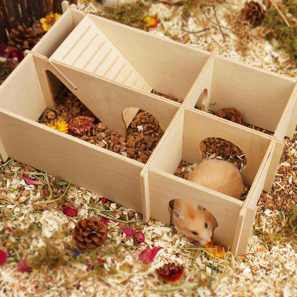 hamster maze hamsterhideout