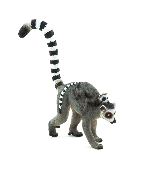 PDF] Ring-Tailed Lemurs: A Species Re-Imagined | Semantic Scholar