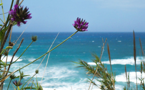 calabria in spring