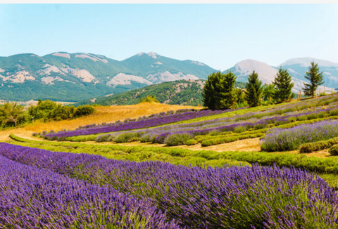 spring in calabria