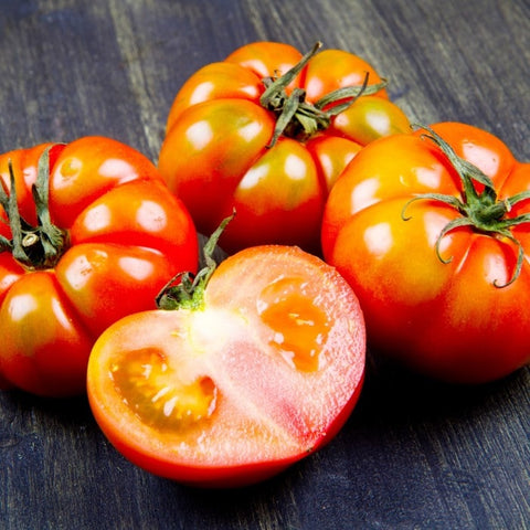 Beefsteak Tomato Plant  Solanum lycopersicum – Almanac Planting Co