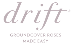 Almanac Planting Co: Drift Rose Logo