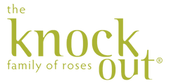 The Knock Out Family of Roses Logo