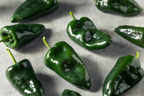 Almanac Planting Poblano Hot Pepper (Capsicum annuum). Poblano Peppers together on a gray table.