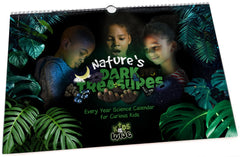 Kids Holiday Gift Guide Nature's Dark Treasures calendar