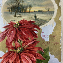 Load image into Gallery viewer, 1910s Red Cross Stamp Christmas Embossed Poinsettias Winter Winsch Postcard
