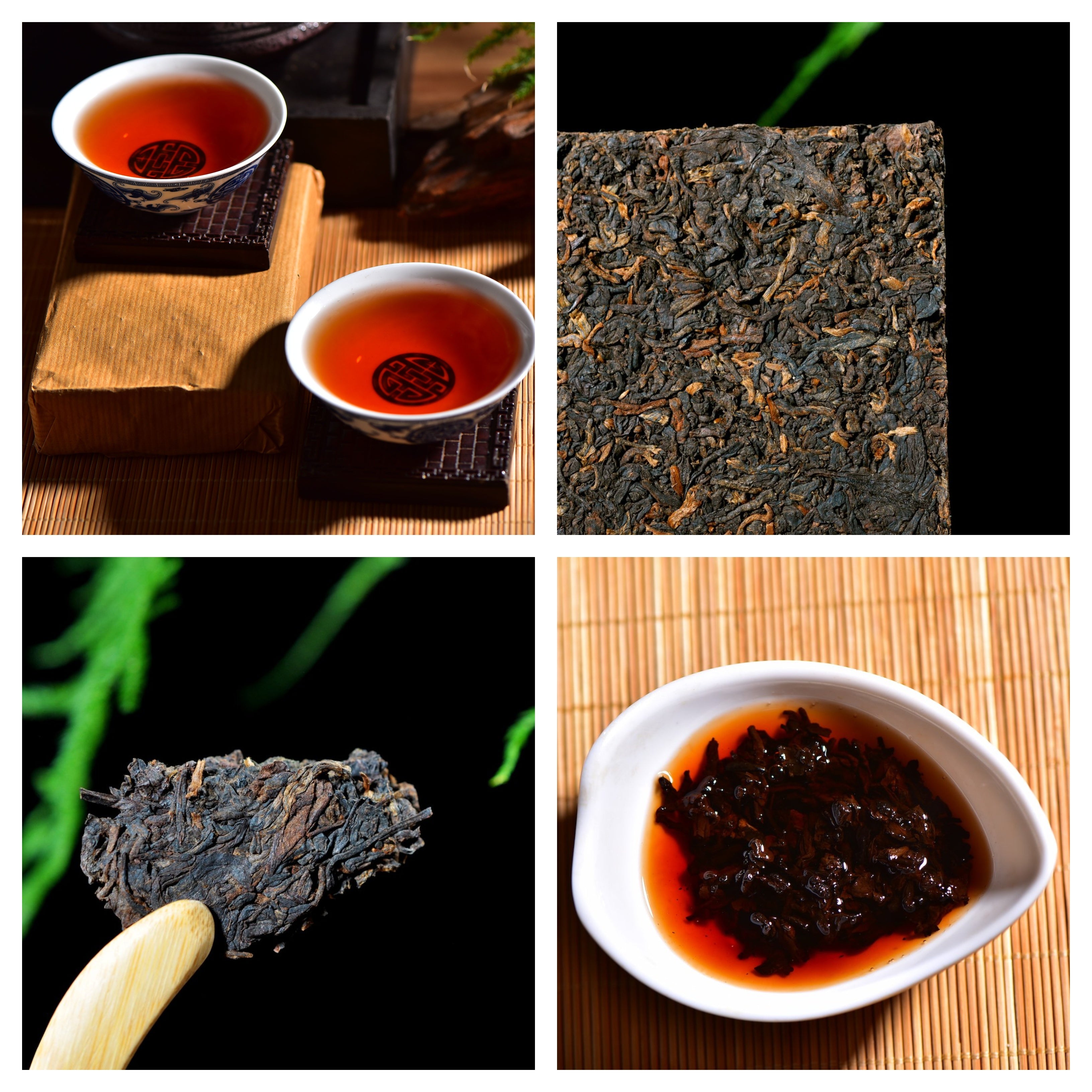 Aged Ripe Pu Erh Tea Storage Comparison Sampler Yunnan Sourcing Tea Shop