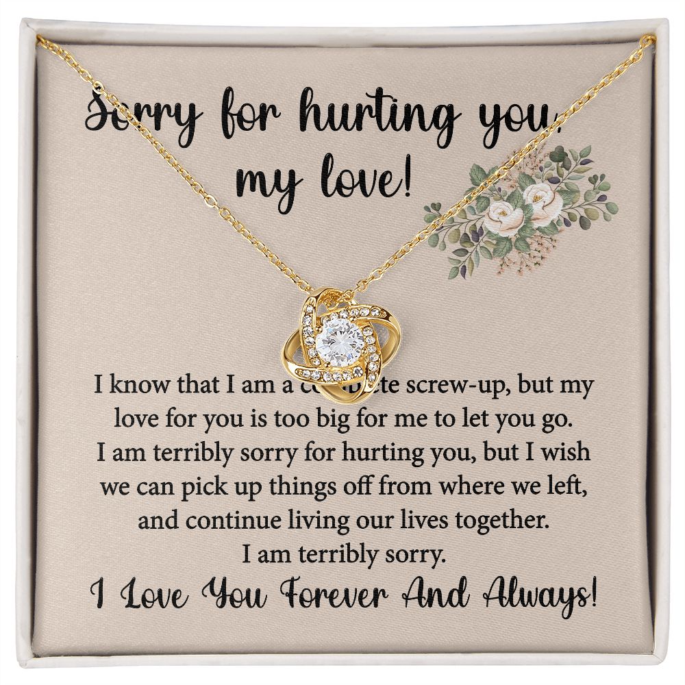 Sorry For Hurting You Necklace, Forgiveness Gift, Apology Gift for ...