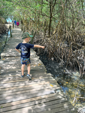 A boy on a walk way across mangroves at Praia Trancoso