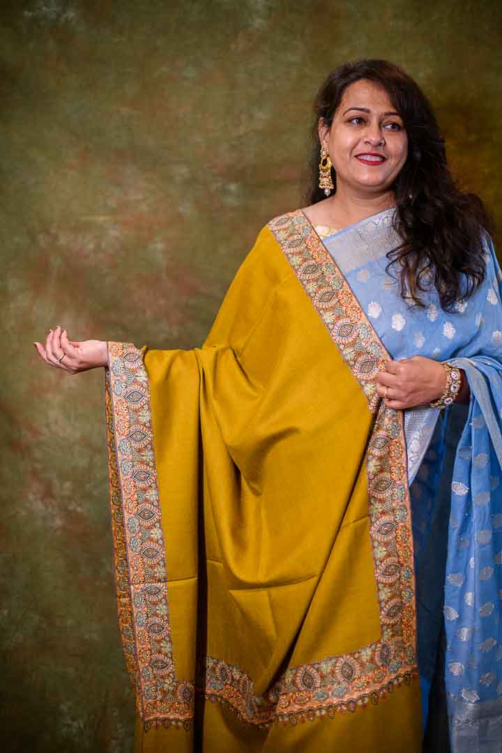Toosh Brown Pashmina Shawl – Himagauri Sarees