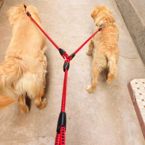 Dual Dog Leash - Red