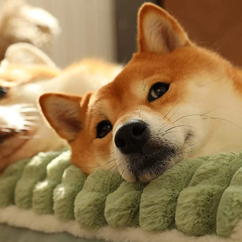 Detachable Pet Dog Bed